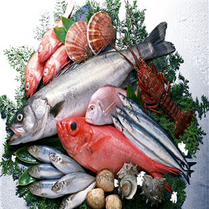 南方水产品加盟 把握商机，开拓水产品市场新蓝海