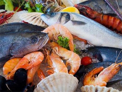 水产品线上消费升级趋势日益凸显