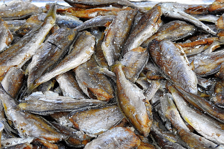 海鲜水产 营养与美味的海洋馈赠