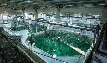 喜报！国信集团两家水产品公司入选青岛首批新经济潜力企业