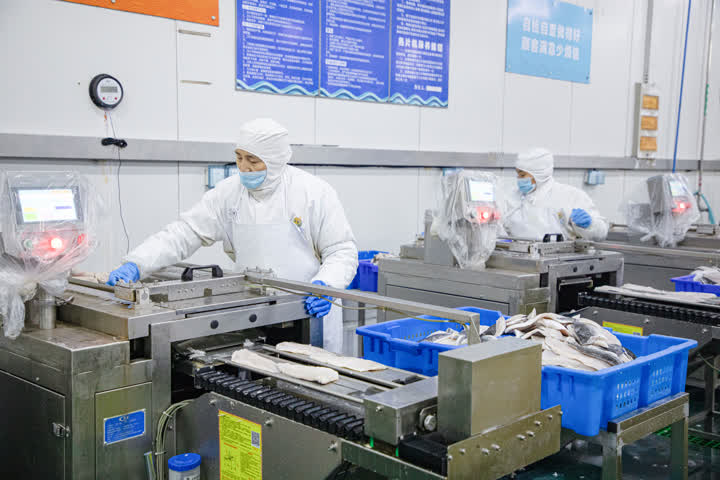 开辟绿色生命通道，海安中洋集团200吨水产食品驰援上海保供稳链