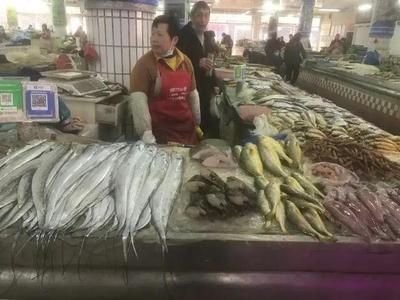 浙江水产市场现“黄金海鲜” 一斤飙至五百元，朋友圈里的价格惊叹号