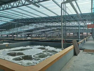 缺虾百万吨，产业迎变革 工厂化养虾面积将破千万平米，第二届中国工厂化养虾大会8月启幕