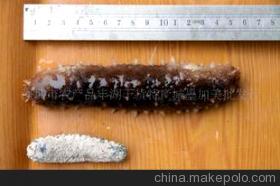 探秘滋补珍品 特级日本冲子参的营养价值与选购指南