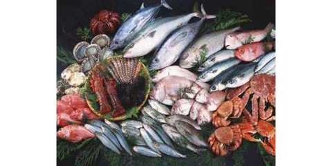 滇池碧波育珍馐——云南特色水产品与农渔产业发展掠影