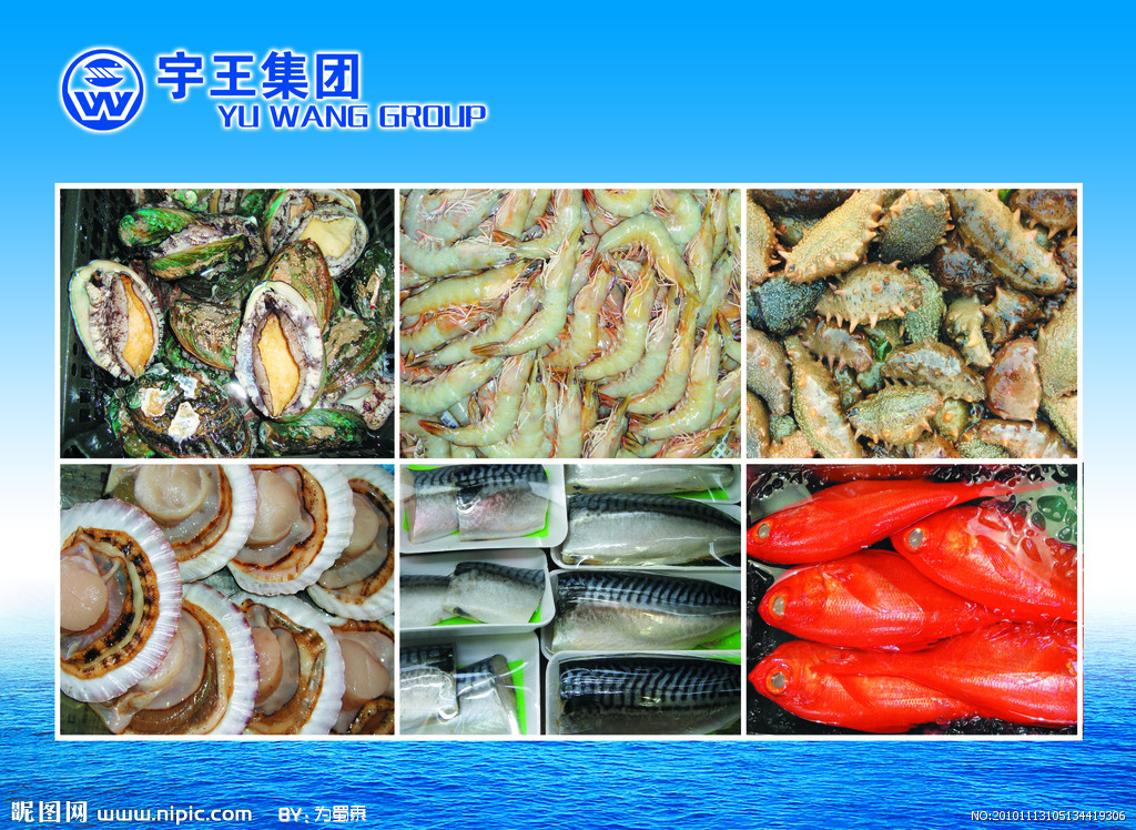 水产品源文件图库的艺术与设计应用