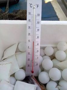 环保冰，水产品保鲜的新选择